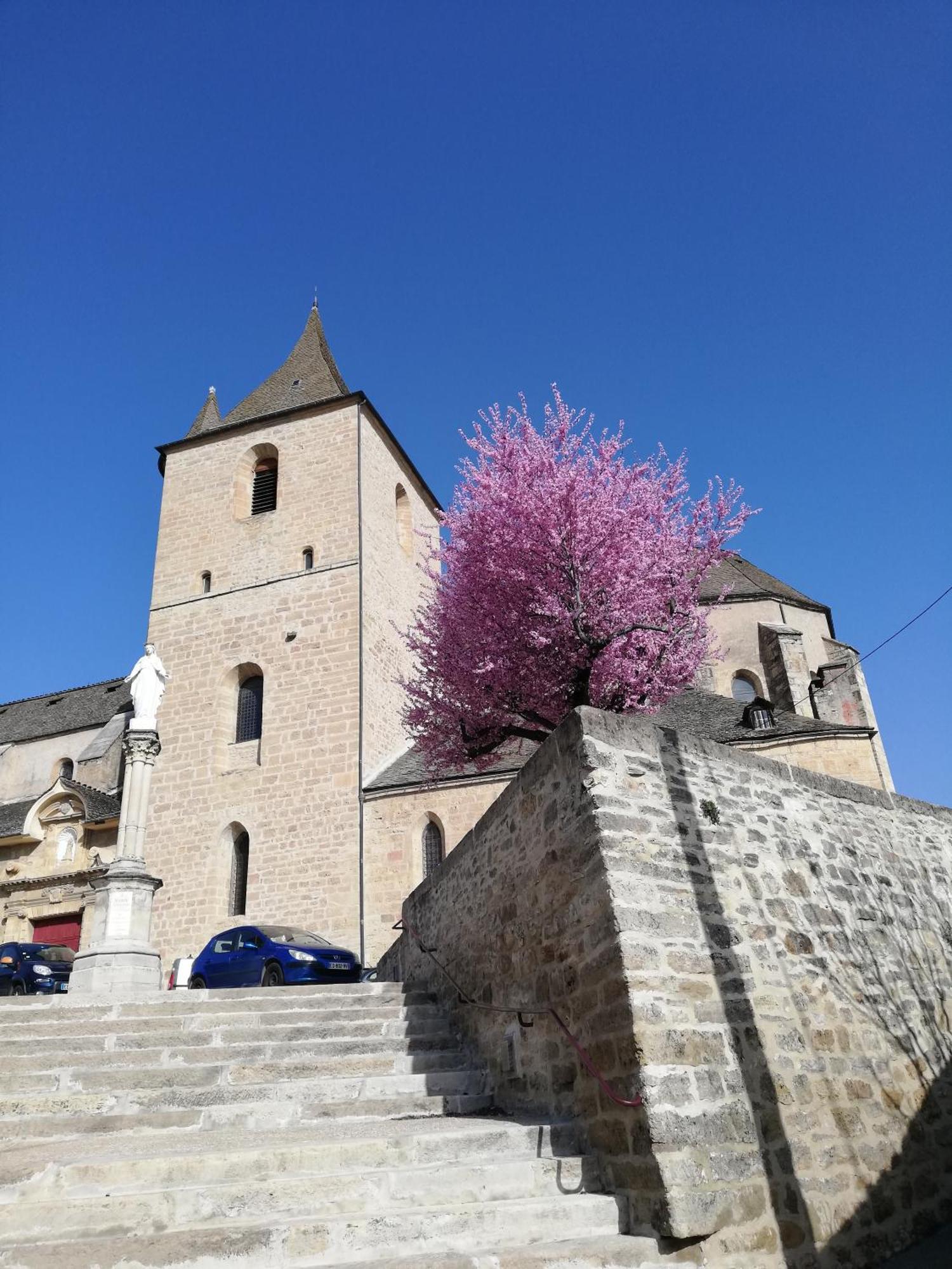 La Cadisserie En Gevaudan Marvejols Exterior photo